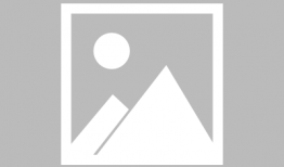 在哪看91直播,揭秘热门直播平台的魅力所在